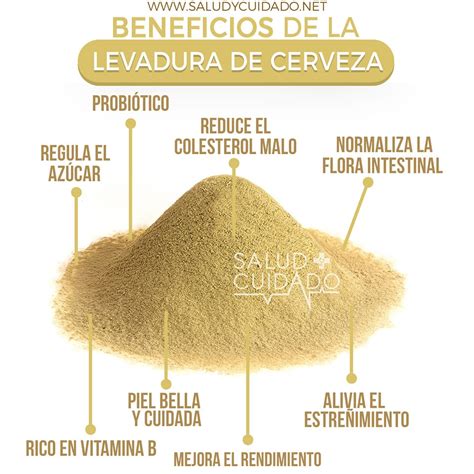 Esquema de los nutrientes clave de la levadura de cerveza: vitaminas B, zinc, selenio y proteínas