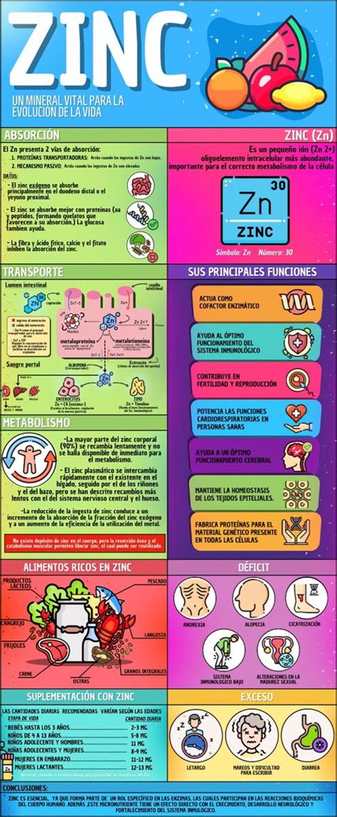 Infografía sobre cómo el zinc y las vitaminas B regulan la producción de sebo y previenen el acné