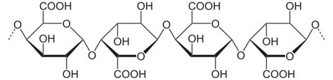 Estructura molecular de la pectina, mostrando la cadena principal de ácido D-galacturónico y las cadenas laterales de ramnosa, arabinano y galactano.