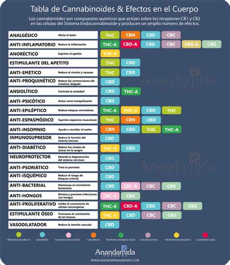 Infografía mostrando los diferentes tipos de cannabinoides y sus efectos