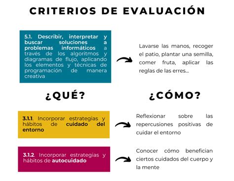 Infografía que detalla los criterios de evaluación utilizados por el jurado: masa, pino, equilibrio de aliños y presentación.