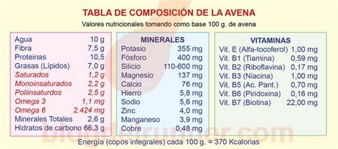 Infografía nutricional: composición de la avena (fibra, proteínas, vitaminas del grupo B y minerales)