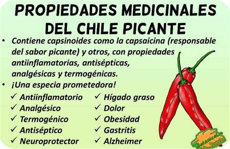 infografía sobre los beneficios del ají picante para la salud