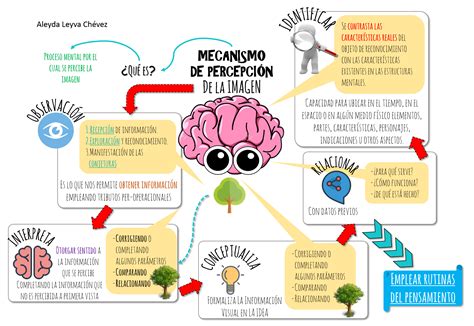 Esquema sobre la presión social en la percepción de la imagen corporal y los estándares de belleza.