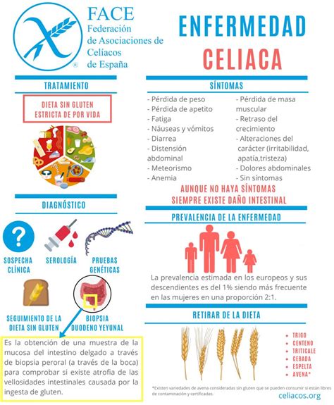 Infografía: Diferencias entre enfermedad celíaca, sensibilidad e intolerancia al gluten.