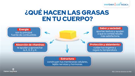 Esquema sobre las funciones vitales de las grasas en el organismo humano