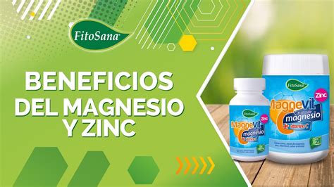 Una infografía sencilla que resalte los principales minerales del sésamo (calcio, magnesio, zinc) y su beneficio para los huesos.