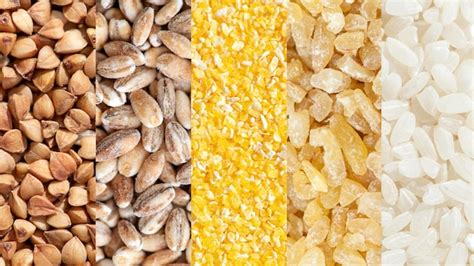 comparativa visual entre granos de maíz, arroz, quinoa y trigo sarraceno