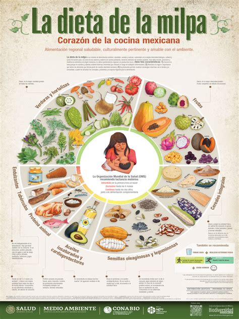Esquema comparativo que muestra la transición de la dieta del salmón desde fuentes marinas tradicionales hacia nuevas fuentes sostenibles como insectos y algas.