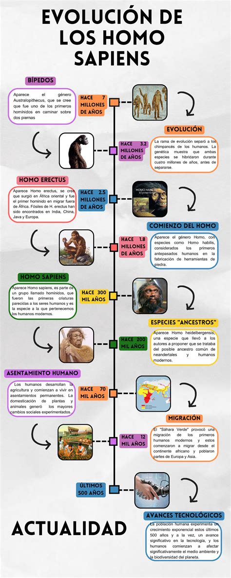Infografía sobre la evolución de los modelos de relación amorosa a lo largo del siglo XX.