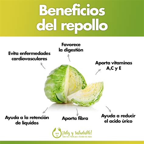 Esquema nutricional del repollo y sus beneficios para la salud