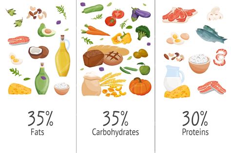 Esquema de composición nutricional de galletas de agua: carbohidratos, grasas, proteínas y aditivos.