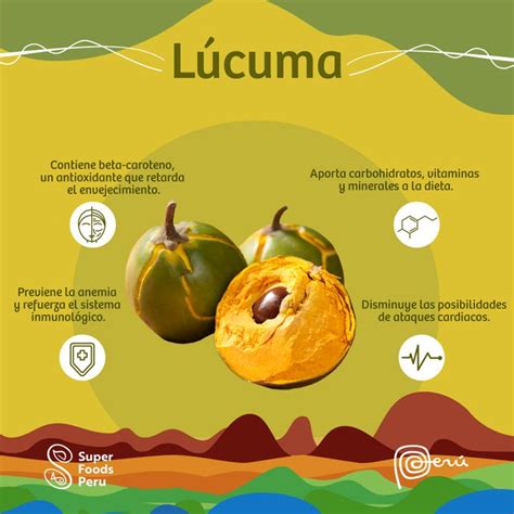 Infografía mostrando el ciclo de cosecha de la lúcuma y las pecanas según los meses del año