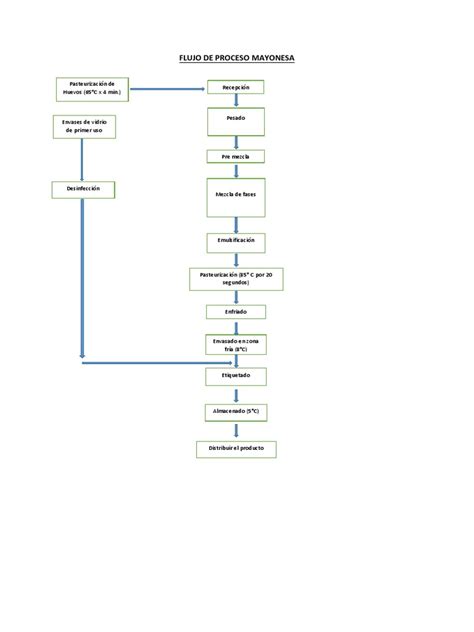 Esquema del proceso de fabricación de mayonesa en polvo o infografía sobre los beneficios de la mayonesa en polvo para el sector HORECA