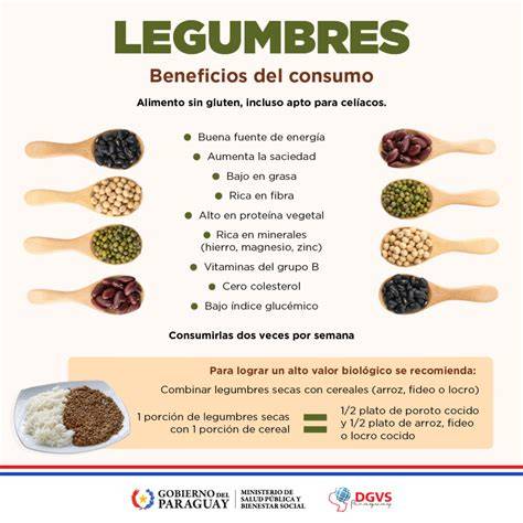 Esquema de la composición nutricional de las legumbres y cereales
