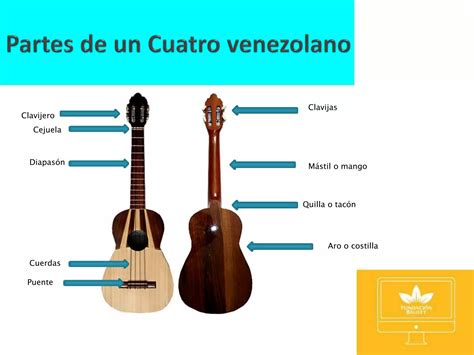 Esquema del Cuatro Venezolano con sus partes y afinación