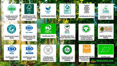 Certificaciones de sostenibilidad en productos de palmito