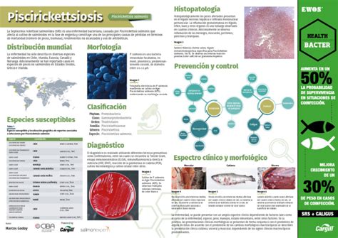 Mapa de distribución global de la Piscirickettsiosis en salmónidos