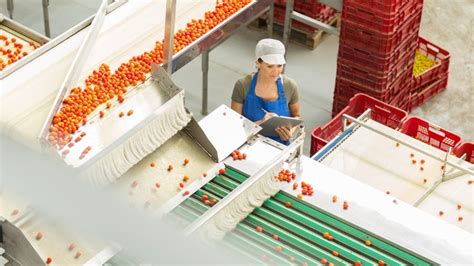 Esquema de las aplicaciones de pegamentos ecológicos y comestibles en la industria alimentaria