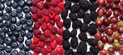 Foto de berries frescos (moras, frambuesas, arándanos)