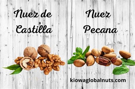 Infografía comparativa: Nuez con cáscara vs. Nuez pelada (ventajas, vida útil y proceso)