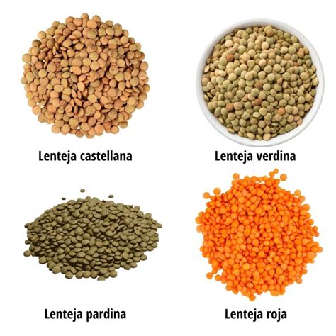 Variedades de lentejas con sus distintos colores (castellana, pardina, verdina)