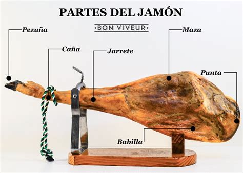 Ilustración de un jamón entero y cortes de jamón en un plato