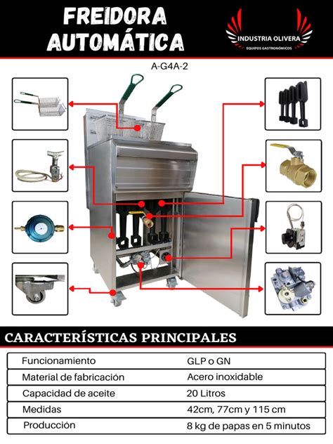 Diagrama de las partes fundamentales de una freidora a gas: termostato, quemadores y cuba de acero inoxidable