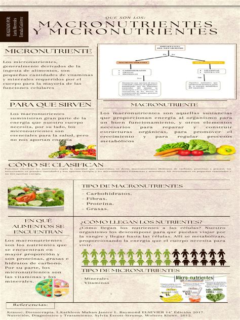 Infografía: Necesidades de micronutrientes en salmones de acuicultura