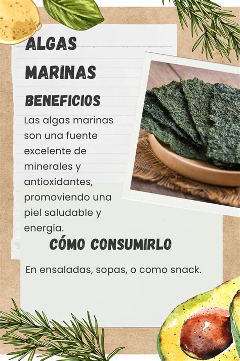 Infografía sobre los beneficios de las algas marinas para la salud