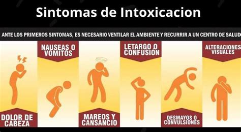 Infografía que ilustra los síntomas de la intoxicación por cereulida, incluyendo náuseas, vómitos y letargo.