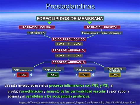Diagrama explicativo de la acción de las prostaglandinas en el útero.