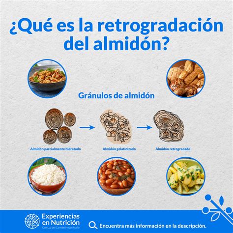 Esquema sobre el proceso de retrogradación del almidón en el pan al exponerse al frío