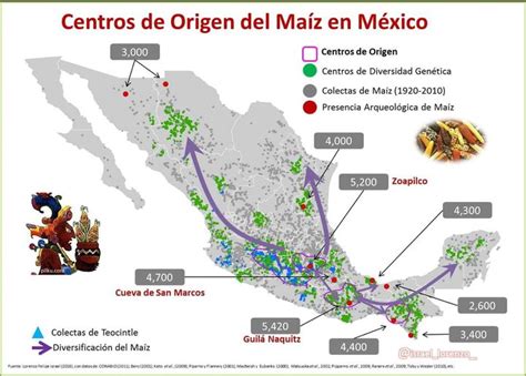 Mapa del origen geográfico del maíz en América