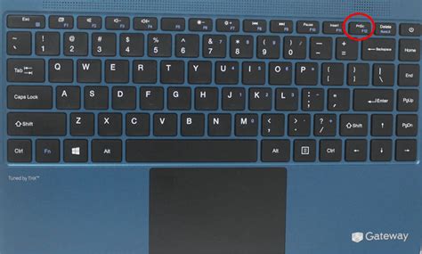 Captura de pantalla o esquema del sótano de hielo con ubicaciones de objetos (Max. Poción, Cura Total)