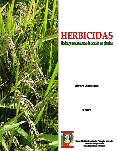 Diagrama que ilustra los diferentes modos de acción de los herbicidas y sus efectos en las plantas.