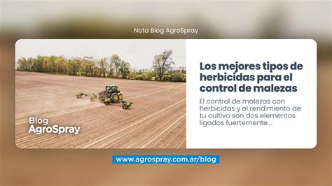 Infografía comparativa de diferentes mezclas de herbicidas para el control de malezas en maíz.