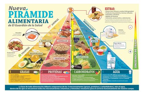 Infografía mostrando la pirámide nutricional de las ensaladas, destacando vitaminas, minerales y fibra.