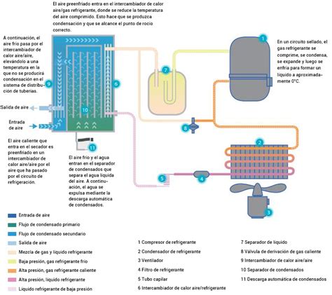 Esquema técnico que muestra el flujo de aire refrigerado dentro de una vitrina de pie de varios niveles.