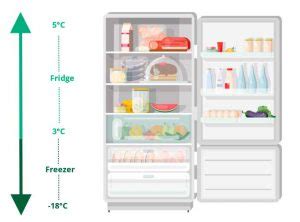 Infografía sobre zonas de temperatura dentro de un refrigerador