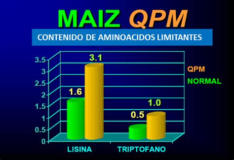 Gráfico comparativo del contenido de lisina y triptófano en maíz común y maíz de alta calidad proteica (QPM)