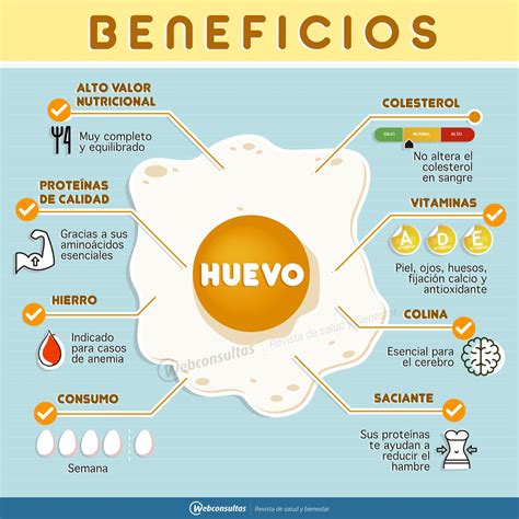 Infografía nutricional del huevo y sus beneficios para niños