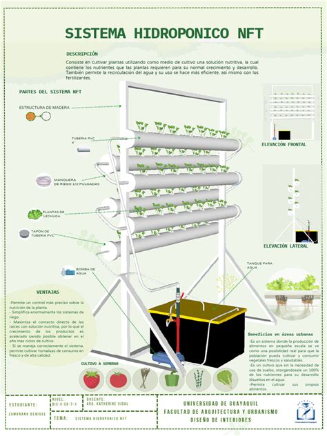 Esquema de cultivo hidropónico de flores comestibles con nanoburbujas