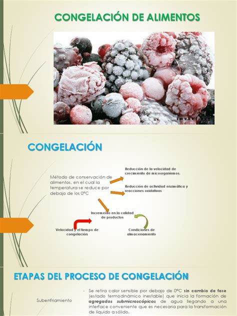 Esquema detallado del proceso de congelación y formación de cristales de hielo en el helado