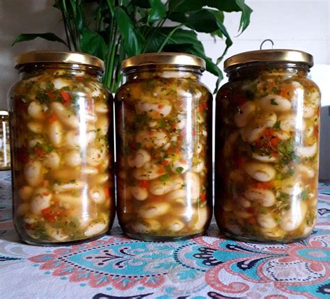 Esquema visual sobre cómo almacenar porotos cocidos en el refrigerador y congelador