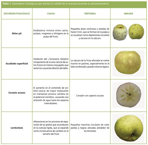 Infografía: Tipos de daños en manzanas durante la cosecha