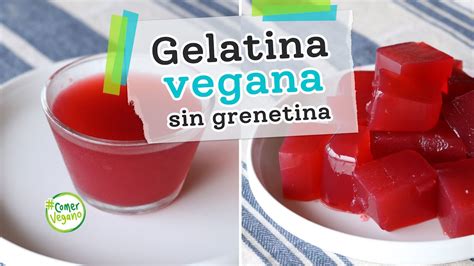 Infografía: Beneficios del agar-agar en la cocina vegana (sustituto de gelatina, fuente de fibra, neutro en sabor).