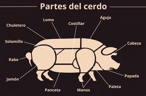 Esquema de la anatomía del cerdo mostrando las zonas de extracción de manteca