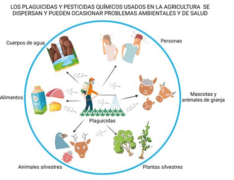 Diagrama ilustrando los diferentes componentes del control biológico en la agricultura.