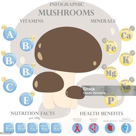 Infografía detallada sobre el valor nutricional de los hongos ostra y sus beneficios para la salud